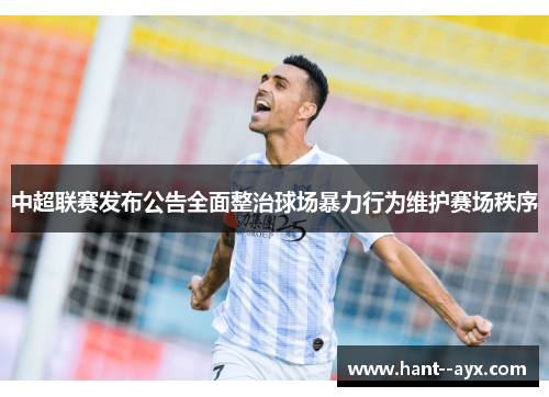中超联赛发布公告全面整治球场暴力行为维护赛场秩序