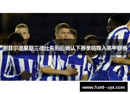 谢菲尔德星期三德比失利后确认下赛季将降入英甲联赛