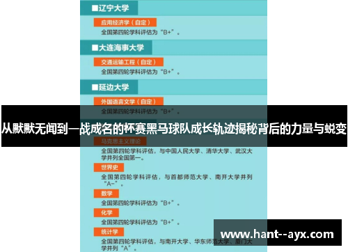 从默默无闻到一战成名的杯赛黑马球队成长轨迹揭秘背后的力量与蜕变