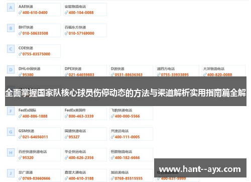 全面掌握国家队核心球员伤停动态的方法与渠道解析实用指南篇全解